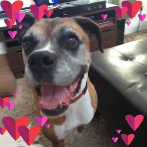 Meet your Posher, Travis